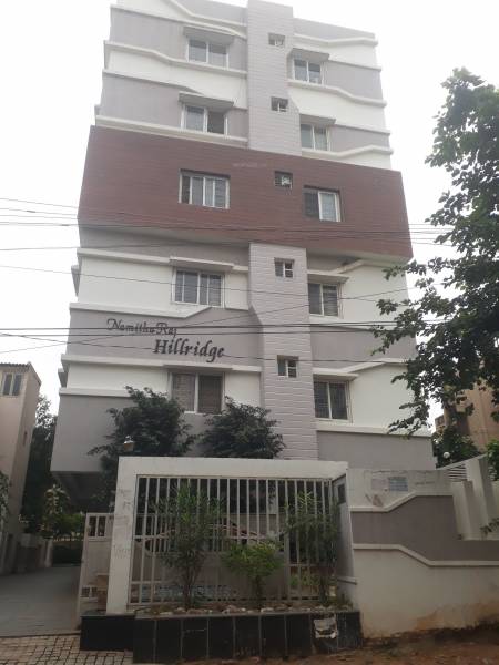  hill-ridges Elevation