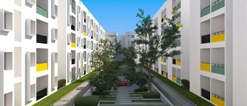  thirumala-lakshmi-vaibhav Landscape Garden and Tree Planting