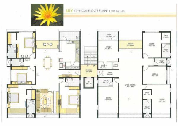 Jasmine 3 Cluster Plan heights Jasmine 3 Cluster Plan