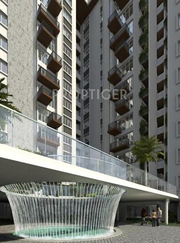 Images for Elevation of Sycon Troica troica Images for Elevation of Sycon Troica