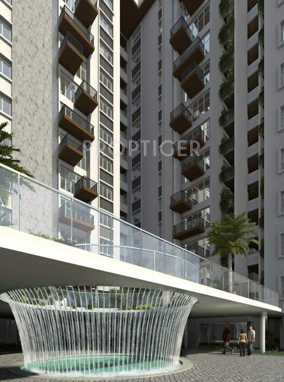 troica Images for Elevation of Sycon Troica