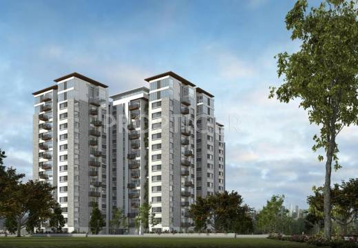 Images for Elevation of Sycon Troica