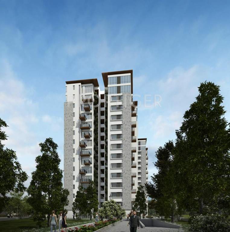 troica Images for Elevation of Sycon Troica