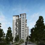 Images for Elevation of Sycon Troica troica Images for Elevation of Sycon Troica