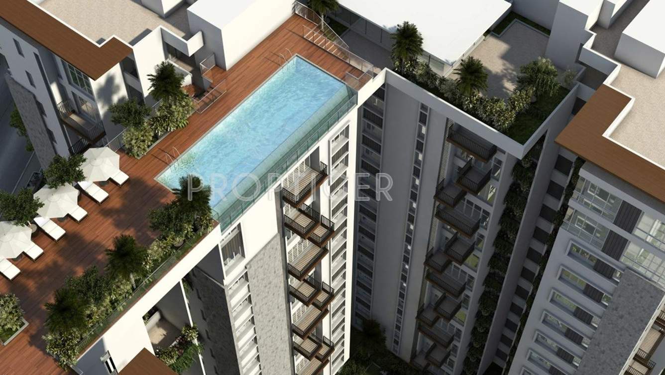 troica Images for Elevation of Sycon Troica