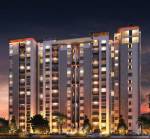 Images for Elevation of Sycon Troica troica Images for Elevation of Sycon Troica