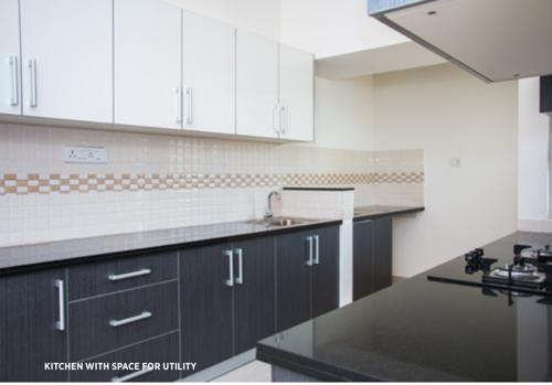 Images for Main Other of Sycon Troica troica Images for Main Other of Sycon Troica