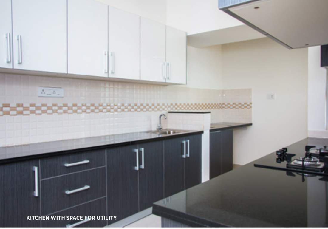 troica Images for Main Other of Sycon Troica