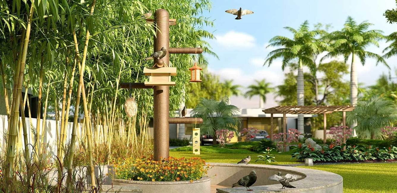  9 Images for Amenities of Aagam 9