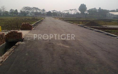 Images for Main Other of Cosmos Green City green-city Images for Main Other of Cosmos Green City