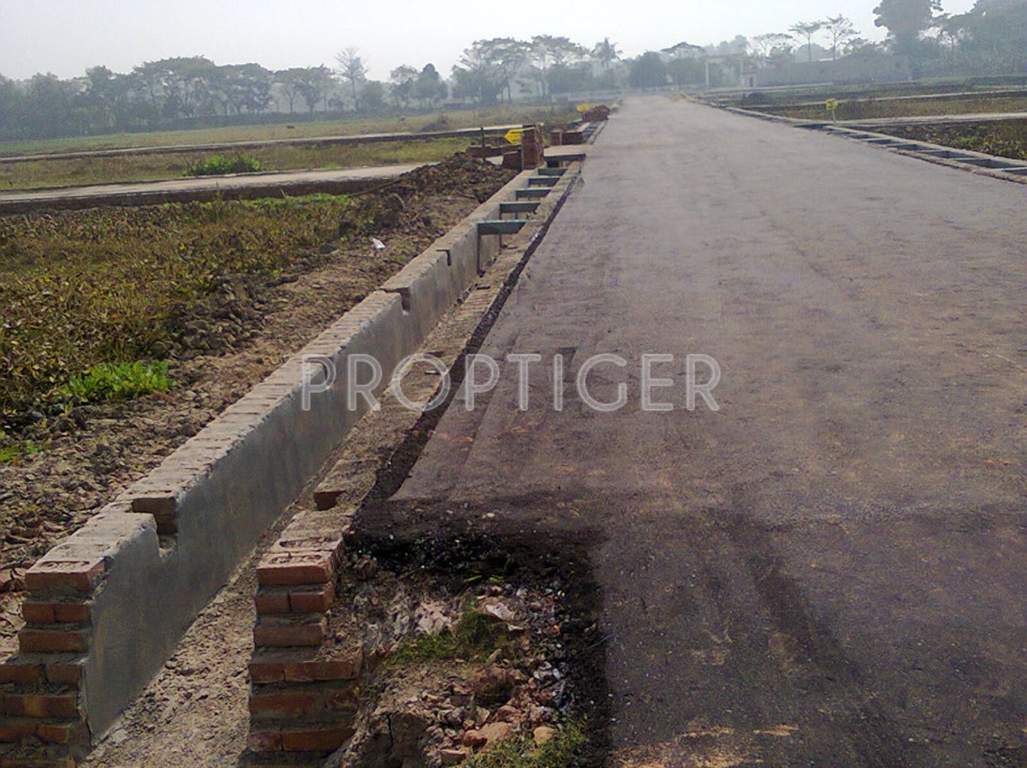  green city Images for Main Other of Cosmos Green City