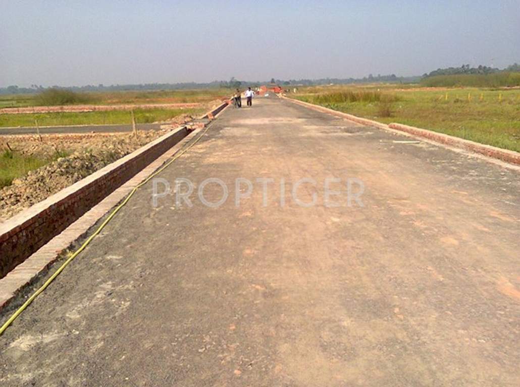  green city Images for Main Other of Cosmos Green City