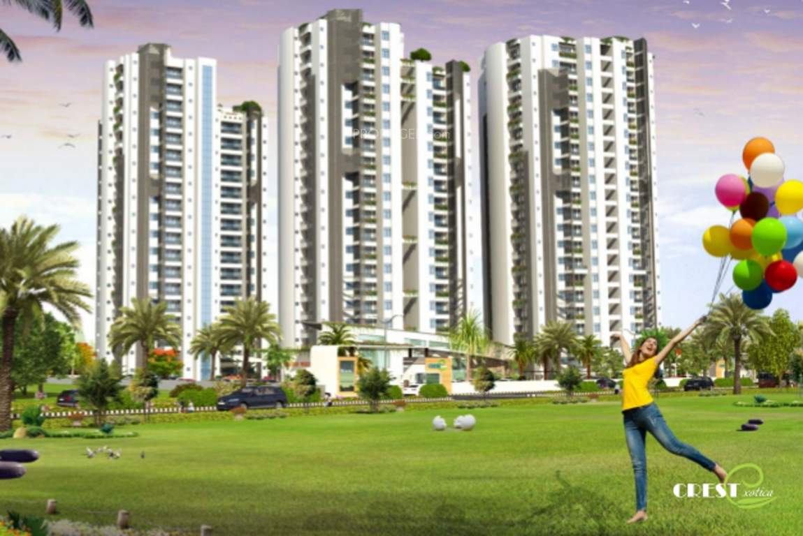  exotica Images for Elevation of Crest Exotica