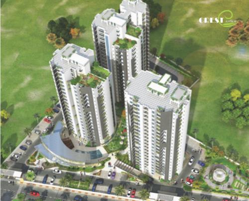  exotica Images for Elevation of Crest Exotica