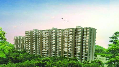  synera Images for Elevation of Signature Synera