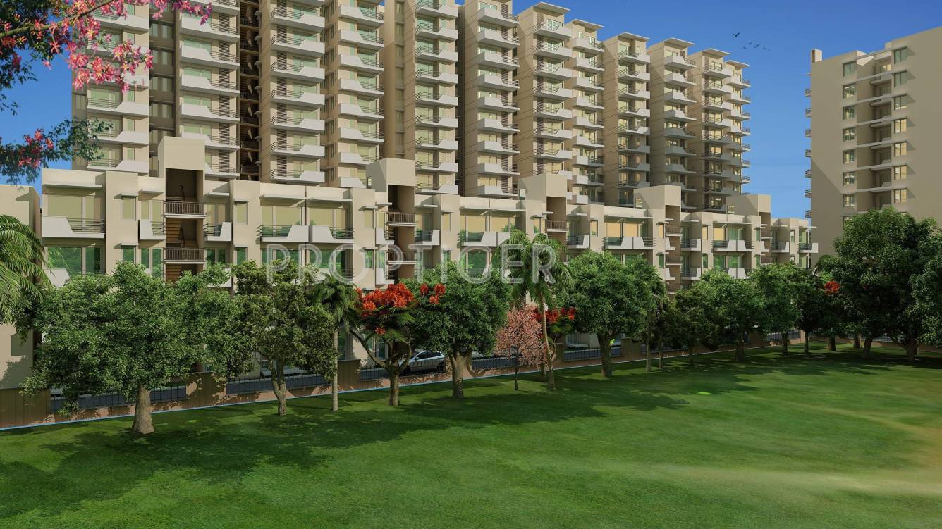 Images for Elevation of Signature Synera synera Images for Elevation of Signature Synera