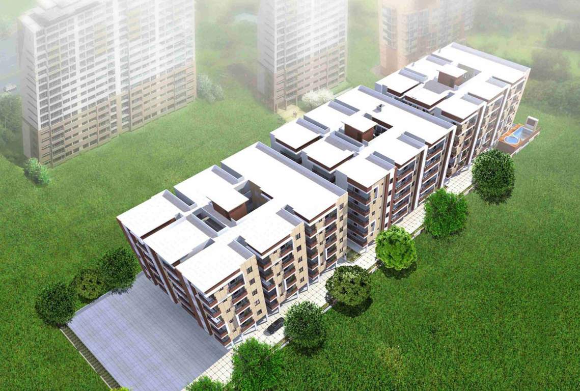  elite Images for Elevation of ASN Elite