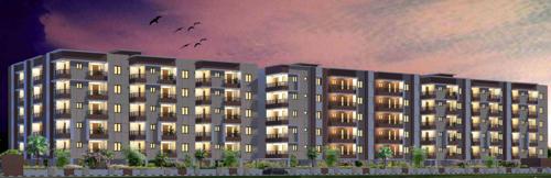  elite Images for Elevation of ASN Elite