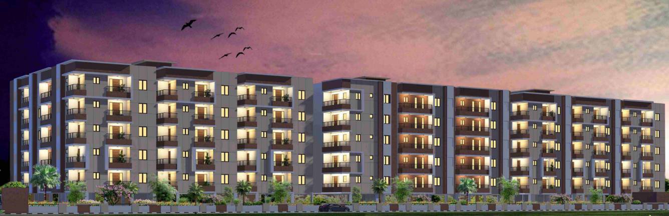 Images for Elevation of ASN Elite  elite Images for Elevation of ASN Elite