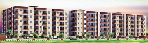  elite Images for Elevation of ASN Elite