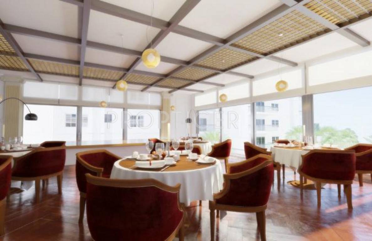 Images for Main Other of Cubatic Aloha