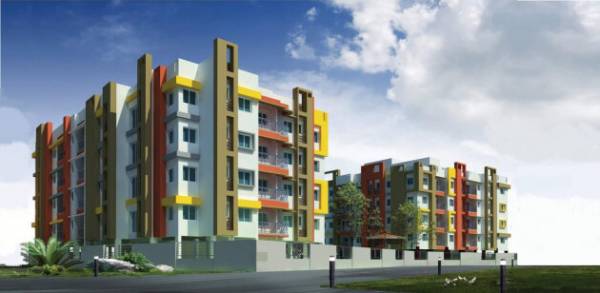  spring-nest Elevation