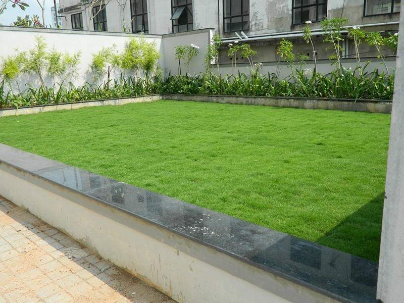 el castillo Images for Amenities of Mather El Castillo