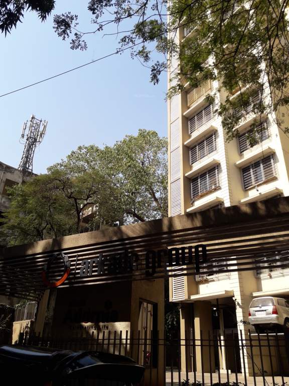  adornia Images for Project