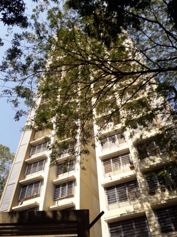  adornia Images for Project