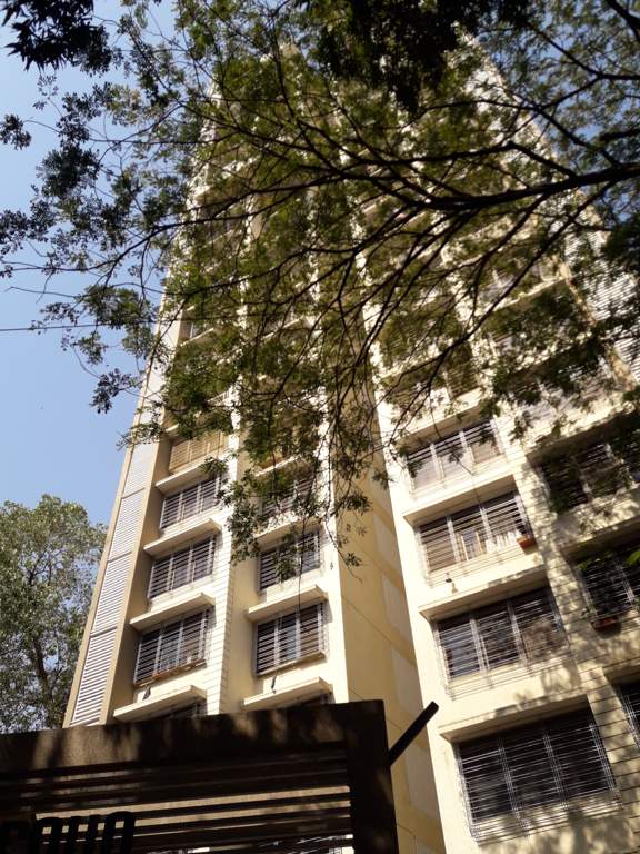  adornia Images for Project