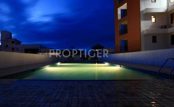 Images for Amenities of Olive Builders Wood Stock Images for Amenities of Olive Builders Wood Stock