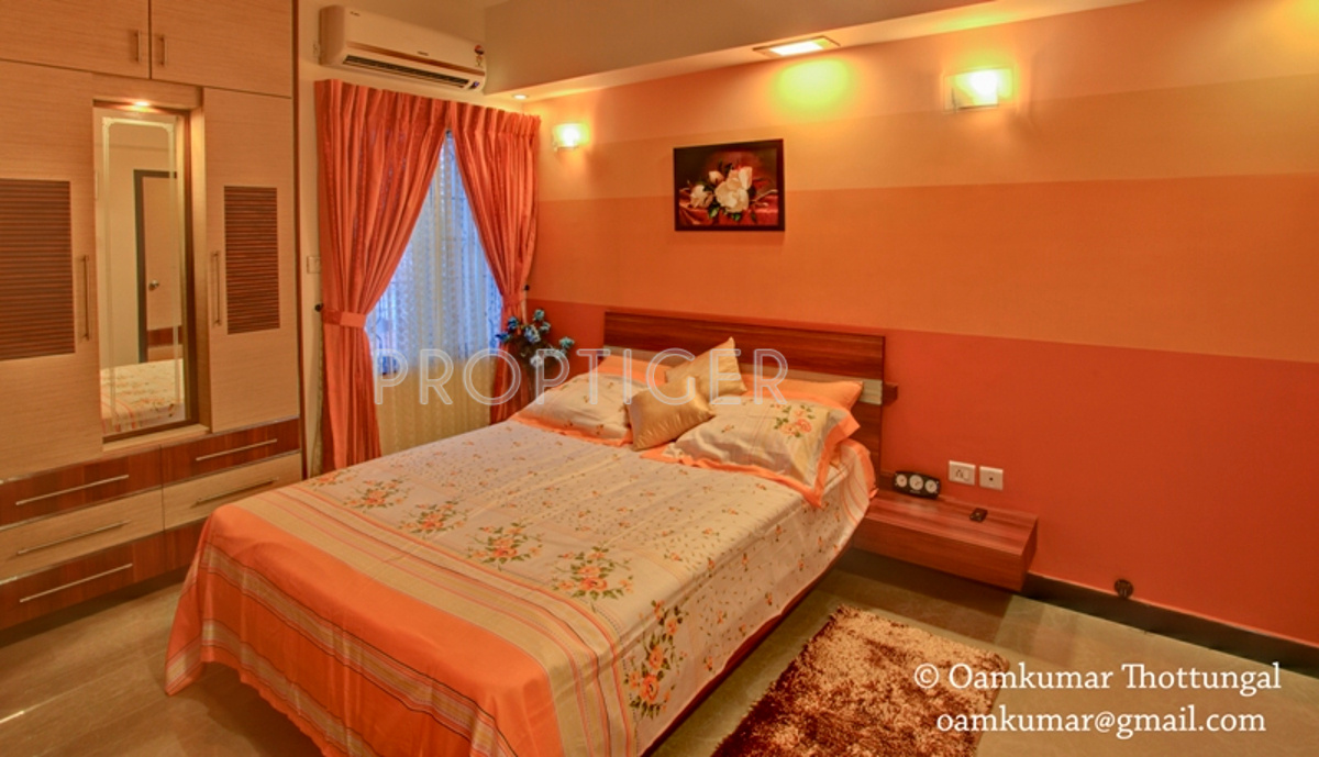 Images for Main Other of Olive Builders Wood Stock