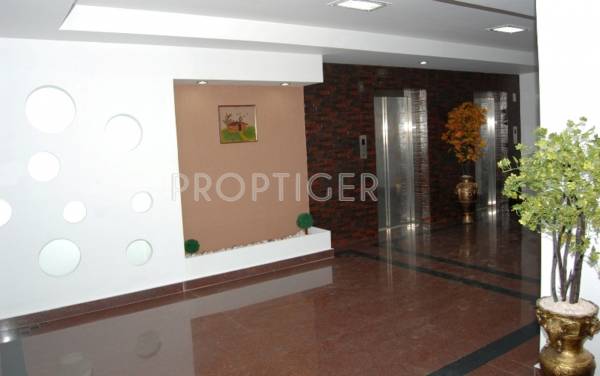 Images for Main Other of Olive Builders Wood Stock Images for Main Other of Olive Builders Wood Stock