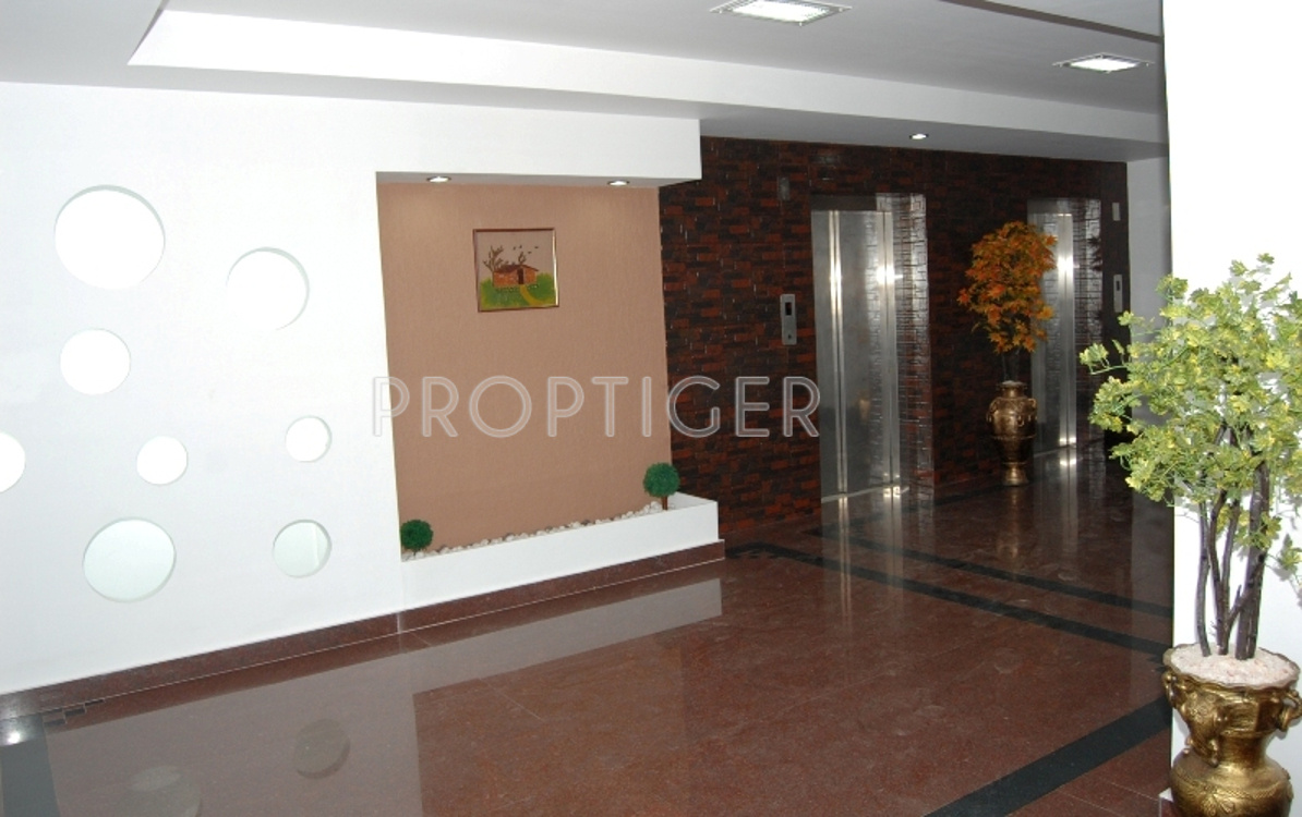 Images for Main Other of Olive Builders Wood Stock