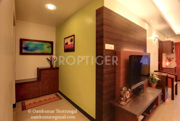 Images for Main Other of Olive Builders Wood Stock Images for Main Other of Olive Builders Wood Stock