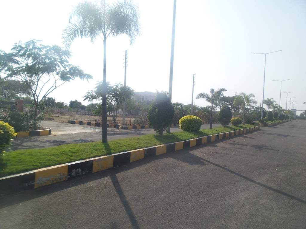  blossom city Elevation