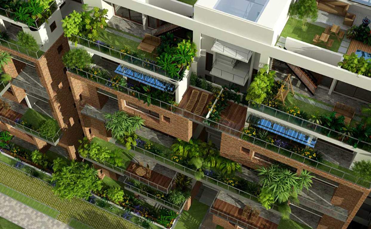 meadow in the sun Images for Elevation of Inner Meadow In The Sun