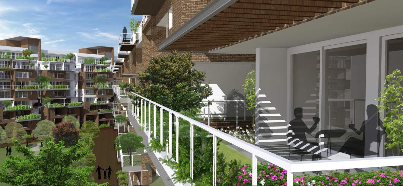 meadow in the sun Images for Elevation of Inner Meadow In The Sun