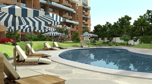 Swimming Pool meadow-in-the-sun Swimming Pool