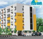 Images for Elevation of Pelican Crawford Enclave Images for Elevation of Pelican Crawford Enclave