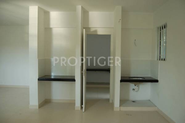 Images for Main Other of Mather Plum Flower