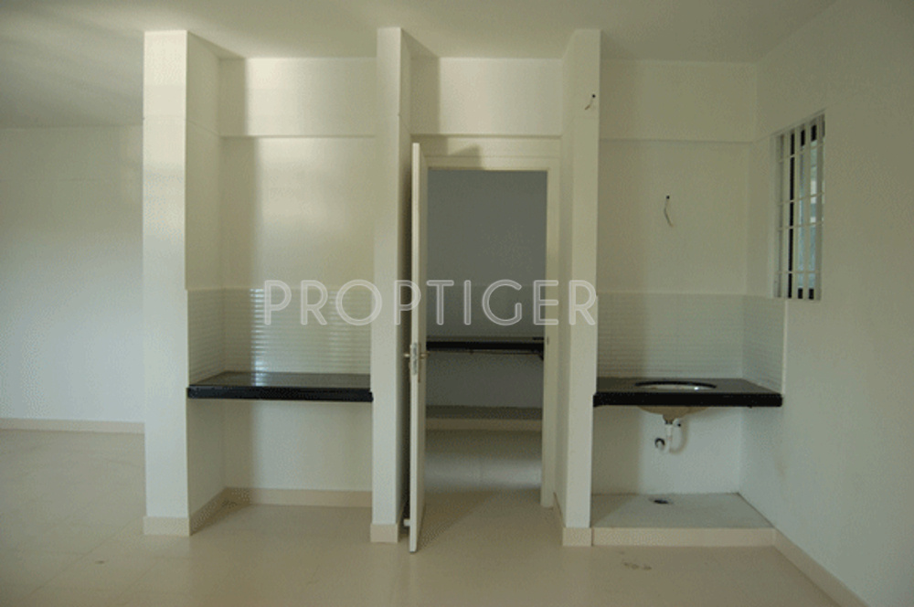 Images for Main Other of Mather Plum Flower