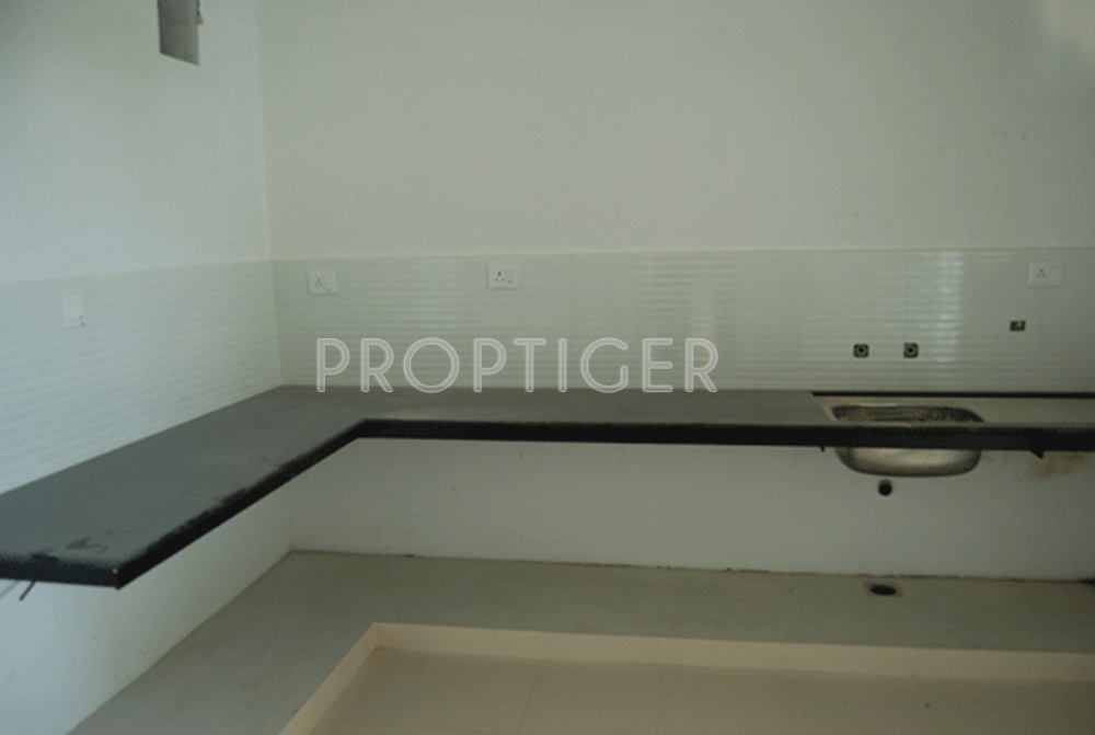 Images for Main Other of Mather Plum Flower