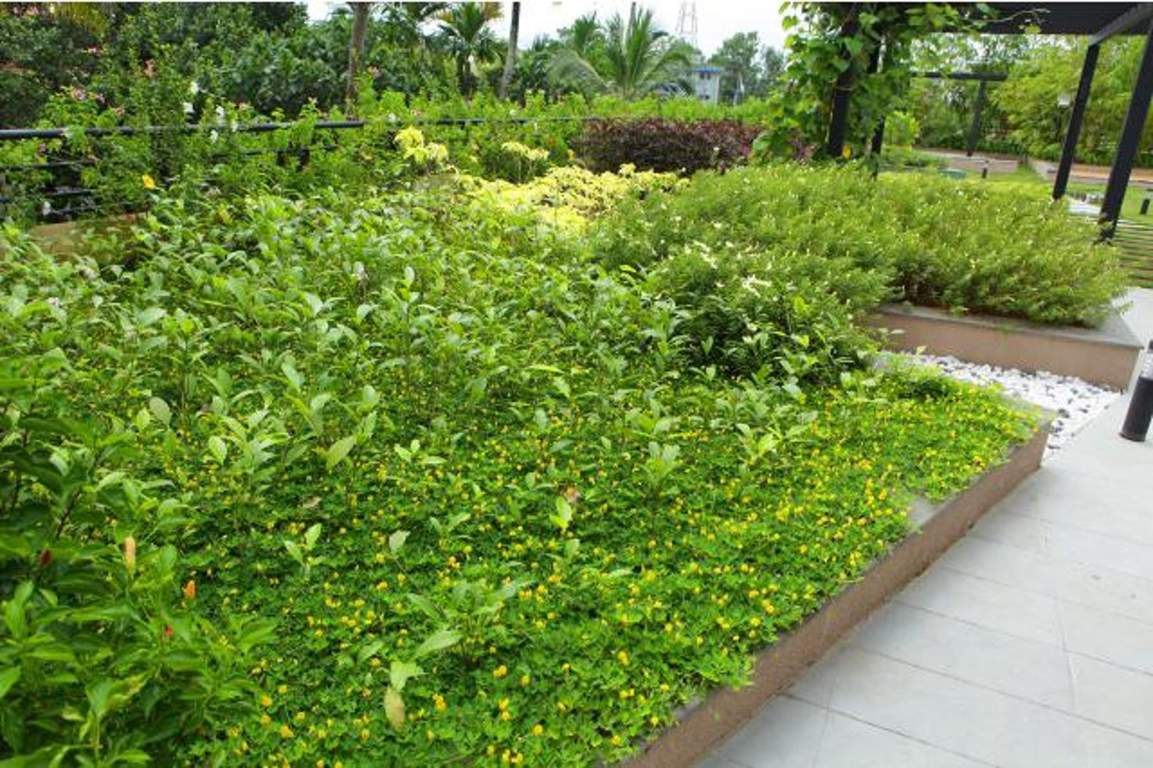  green hills Images for Amenities of Mather Green Hills