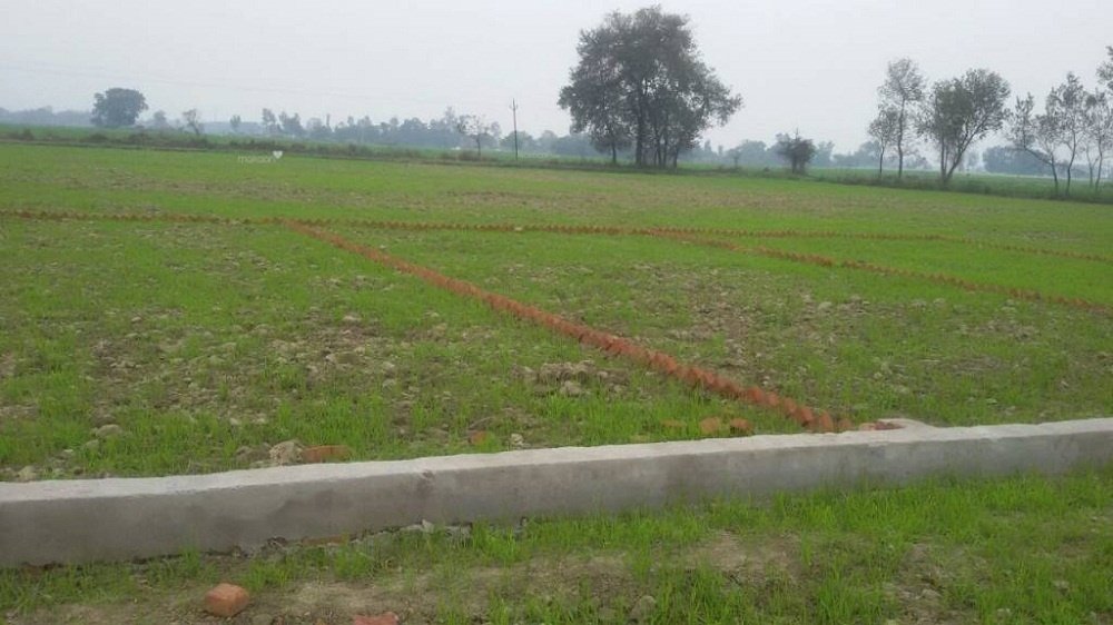  gokul city Elevation