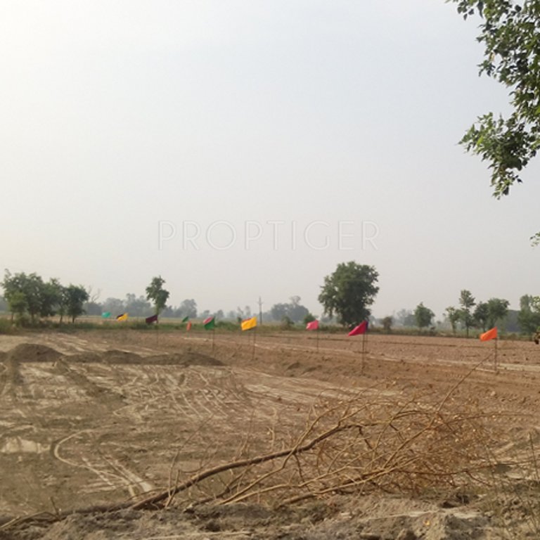 Images for Main Other of Ablazestar Gokul City