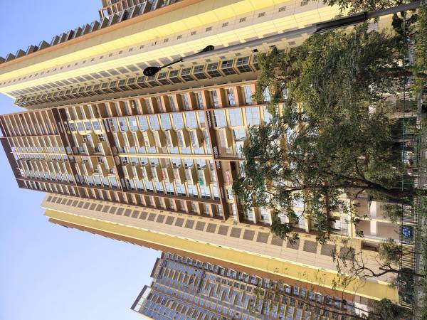  adreno-towers Elevation