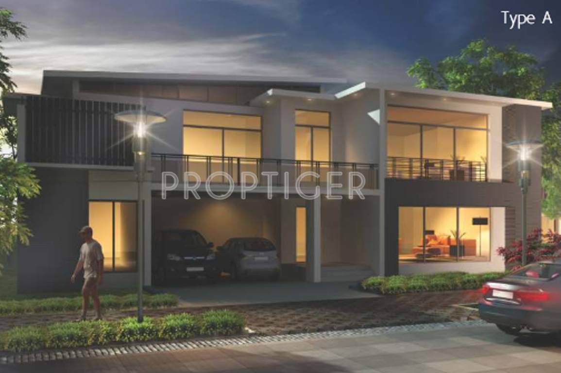 veneziano Images for Elevation of Asten Veneziano