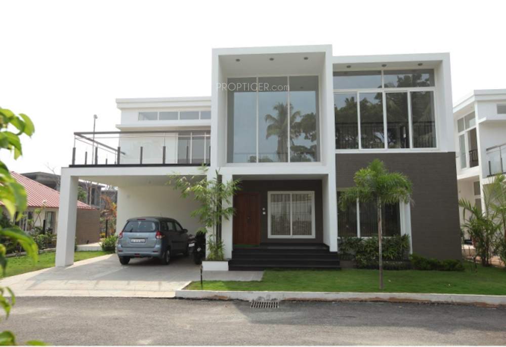 veneziano Images for Elevation of Asten Veneziano