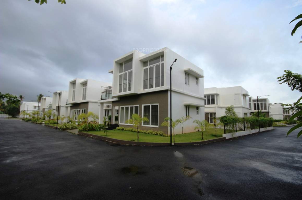 veneziano Images for Elevation of Asten Veneziano